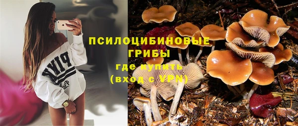 крисы Абинск