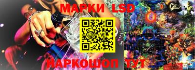 прущие грибы Кандалакша