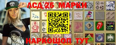 прущие грибы Кандалакша