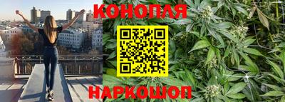 прущие грибы Кандалакша