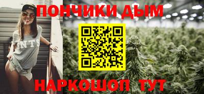 прущие грибы Кандалакша