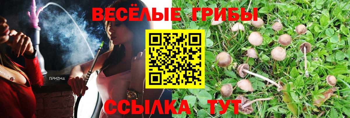 Галлюциногенные грибы Cubensis Магнитогорск